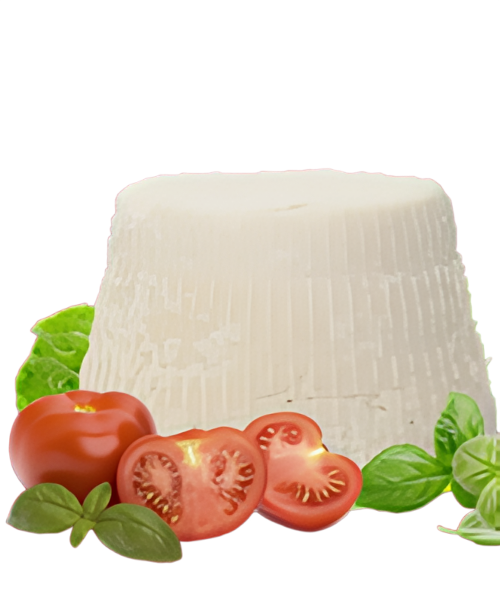 RICOTTA AFFINE