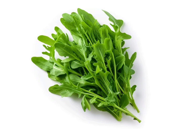 roquette